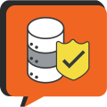 Robust Data Security Icon